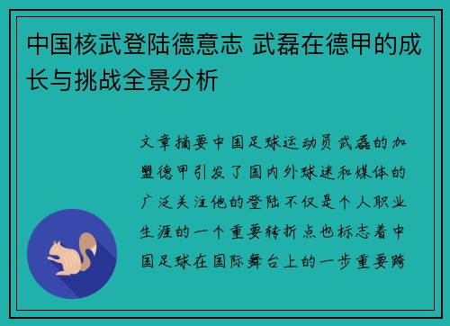 中国核武登陆德意志 武磊在德甲的成长与挑战全景分析